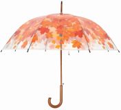 Regenschirm Blätter Herbst Laub Transparent Stockschirm Durchsichtig