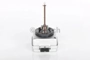 Bosch Glühlampe Alfa romeo: Giulietta Bmw: 3 Fiat: 500 Renault: Grand Scénic III Vw: Golf VI 1987302905