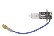 Vemo Glühlampe, Nebelscheinwerfer Audi: Coupe, A6, A2, 80 Seat: Ibiza IV V99-84-0013