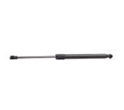 RIDEX Heckklappendämpfer 219G0160 Kofferraum Dämpfer,Gasfeder Heckklappe BMW,1 Schrägheck (E87),1 Schrägheck (E81)