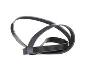 RIDEX Keilrippenriemen 305P0083 Rippenriemen VW,AUDI,BMW,Golf V Schrägheck (1K1),POLO (9N_),TOURAN (1T1, 1T2),Passat Variant (3C5)