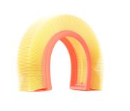 RIDEX Luftfilter 8A0173 Motorluftfilter,Filter für Luft RENAULT,DACIA,PROTON,TWINGO I (C06_),CLIO II (BB0/1/2_, CB0/1/2_)