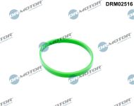 Dr.Motor Automotive Dichtung, Ansaugkrümmer DRM02516  für BMW 11617801943