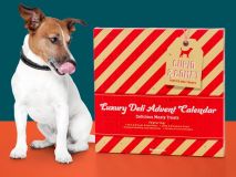 Cupid & Comet Luxury Adventskalender für Hunde