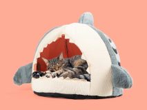 Haischlund Katzenbett