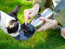 Hundetrinkflasche - Utenu