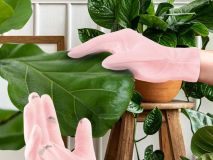 Mini Houseplant Reinigungshandschuhe Für Zimmerpflanzen