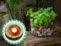 Organic Pod Anbau-Set