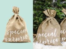 Jutesack - Special Surprise