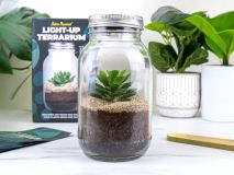 Solarbetriebenes Terrarium