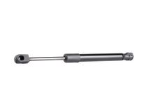 RIDEX Heckklappendämpfer 219G0041 Kofferraum Dämpfer,Gasfeder Heckklappe VW,AUDI,SEAT,PASSAT (3B3),Bora Limousine (1J2),PASSAT (3B2)