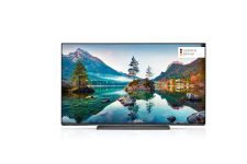 55MOC9001 OLED TV - 0% Finanzierung (PayPal)