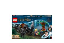 LEGO® Hogwarts Kutsche mit Thestralen