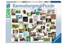 Ravensburger 1500 Teile Puzzle Funny Animals Collage