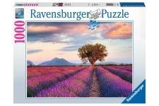 Ravensburger 1000 Teile Puzzles: Lavendelfeld in der goldenen Stunde