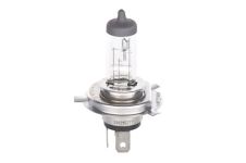 Bosch Glühlampe [Hersteller-Nr. 1987301054] für Abarth, Alfa Romeo, Audi, Autobianchi, BMW, Chevrolet, Chrysler, Citroën, Dacia, Daihatsu, Daimler, Do