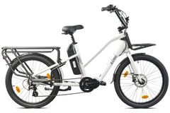 Cargo City E-Bike Cargado