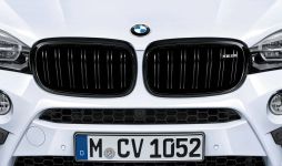 BMW M Performance Frontziergitter links X6M F86