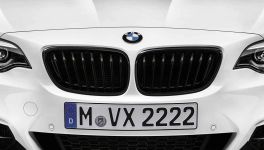 BMW M Performance Frontziergitter Schwarz hochglanz F22 F23
