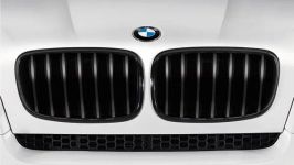 orig. BMW M Performance 1er E81 E82 E87 E88 Frontziergitter Ziergitter schwarz Rechts