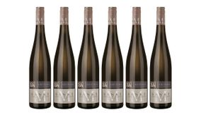 Cleebronner St.Michael Grauburgunder Qualitätswein Trocken 0,75L 6er Karton