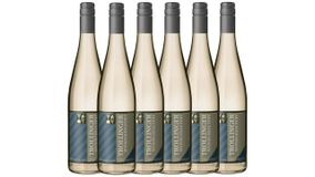 Blanc de noir Trollinger weißgekeltert 0,75L 6er Karton