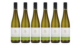 Winzer vom Weinsberger Tal "Rebsortenlinie" Grauburgunder Qba Trocken 0,75 l 6er Karton