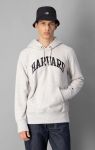 Kapuzenpullover aus Bio-Baumwolle mit College-Print